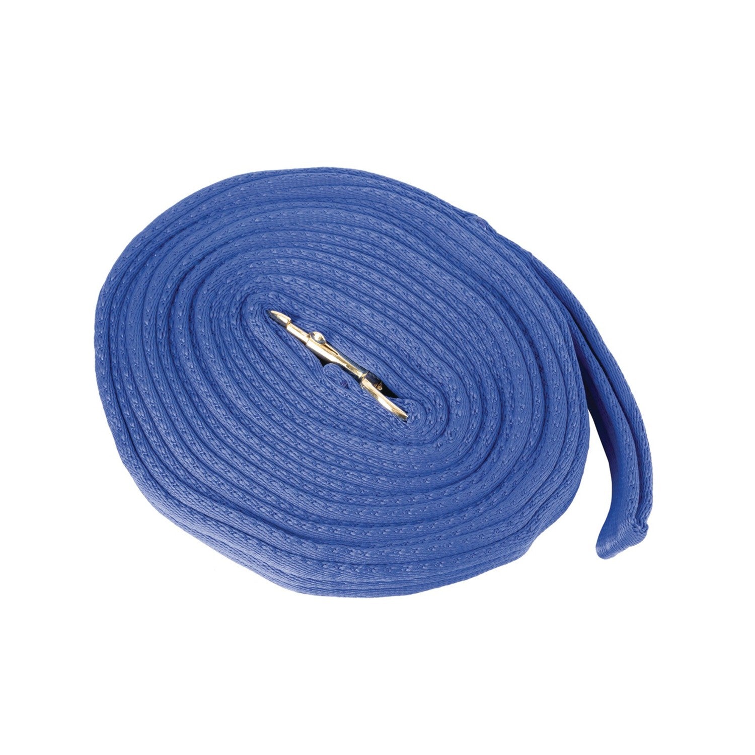 HY Equestrian Soft Webbing Lunge Rein