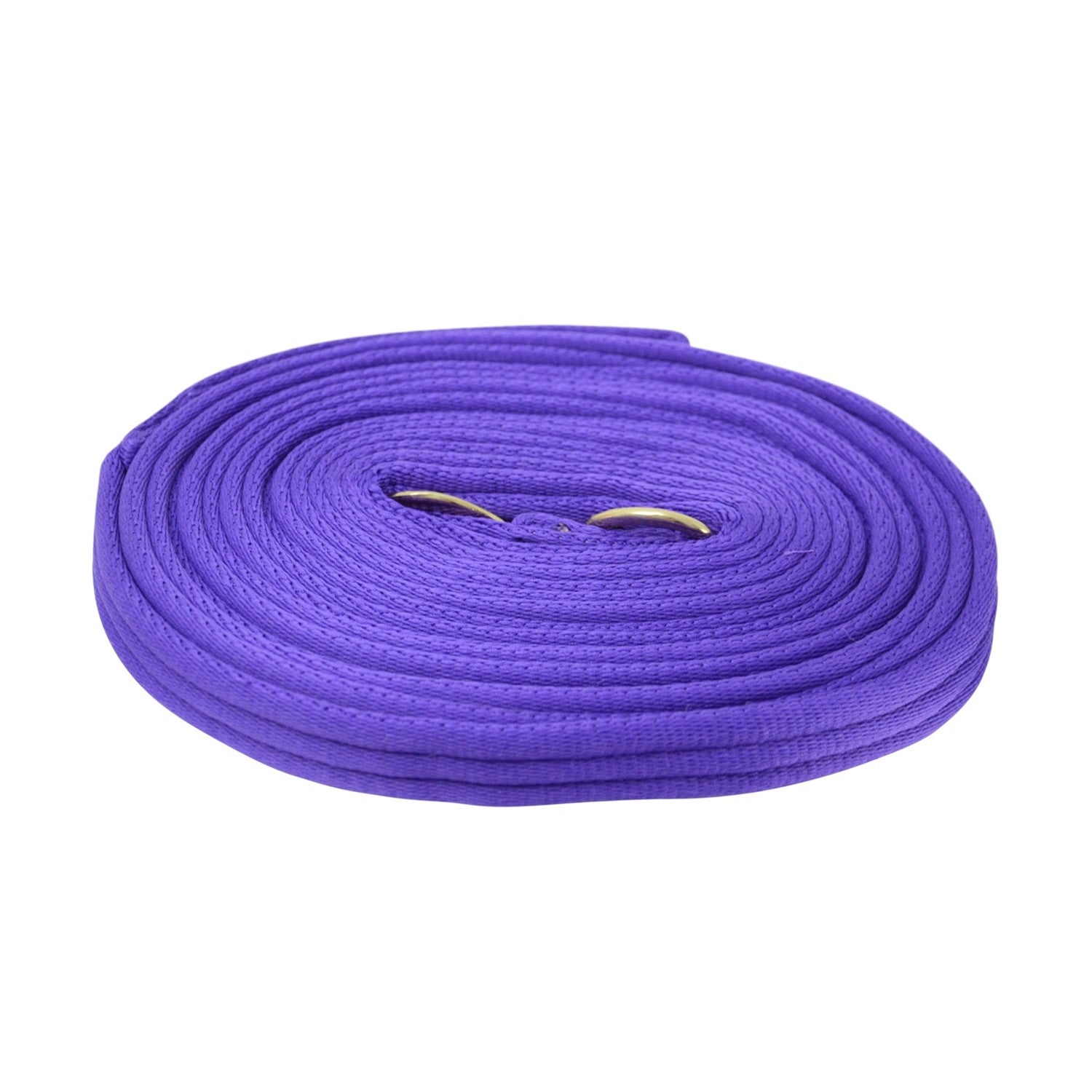 HY Equestrian Soft Webbing Lunge Rein