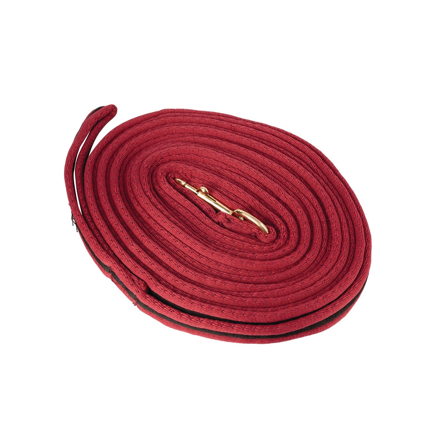 HY Equestrian Soft Webbing Lunge Rein