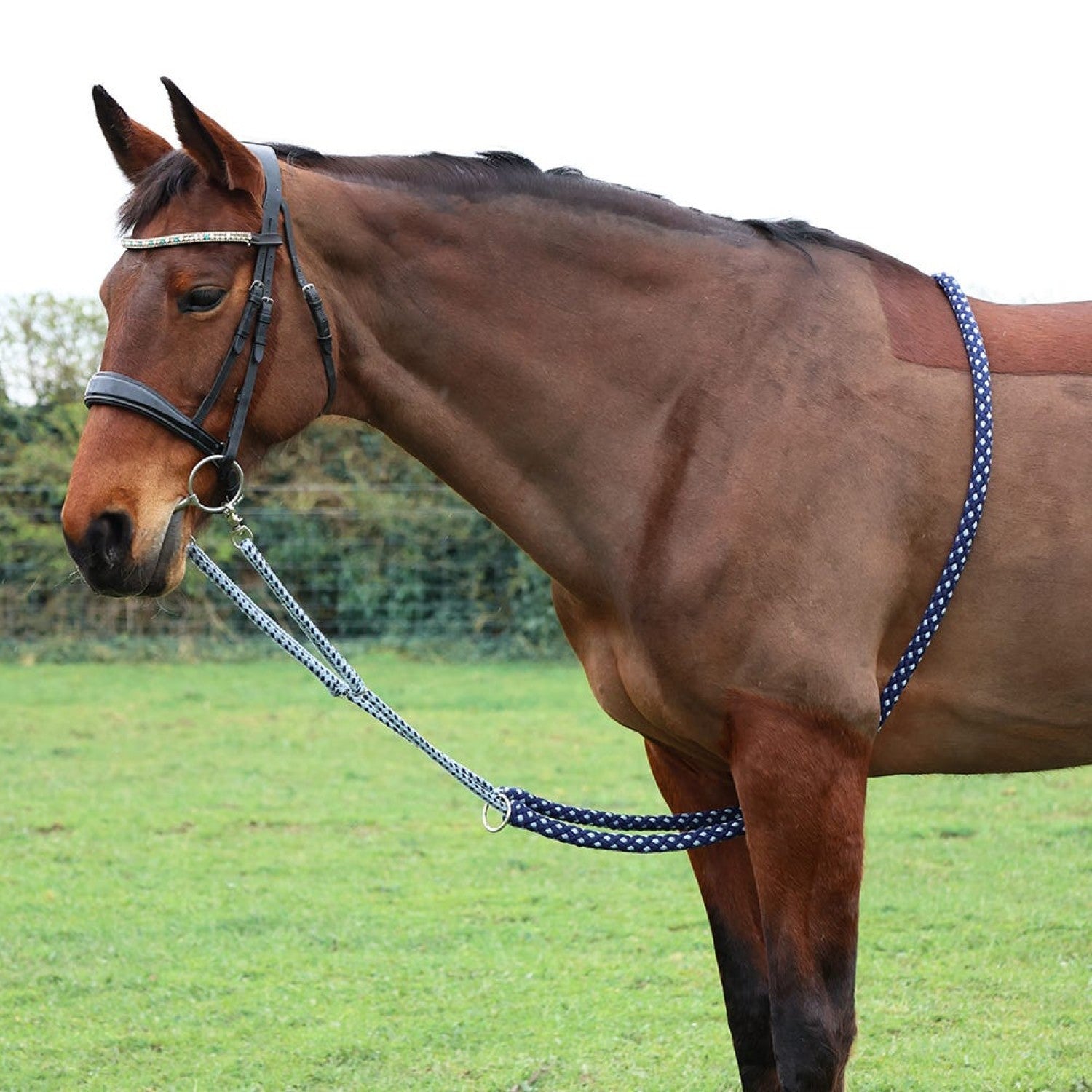 HY Equestrian Lunging Aid - Navy/Grey