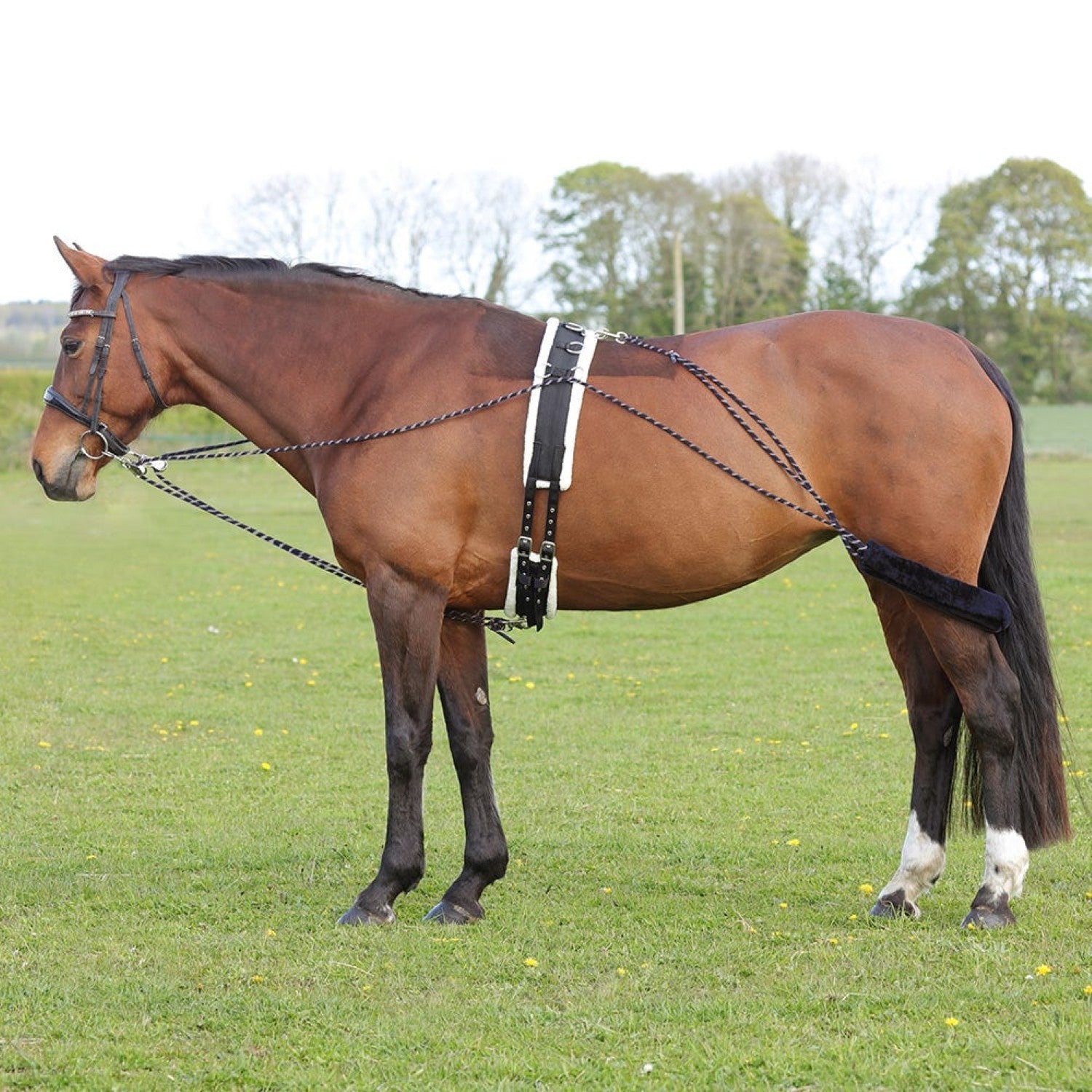 HY Equestrian Lunging System - Navy/Grey