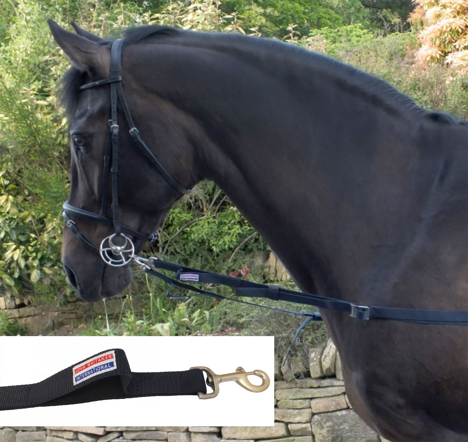 Whitaker ASR Elasticated Side Reins - Navy