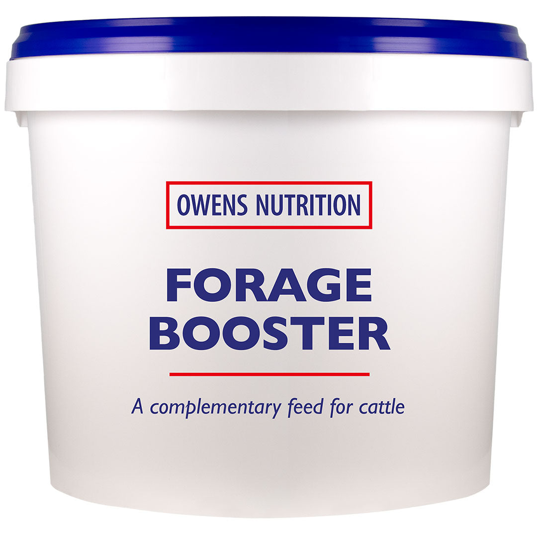 Forage Booster Sweetlick 20kg