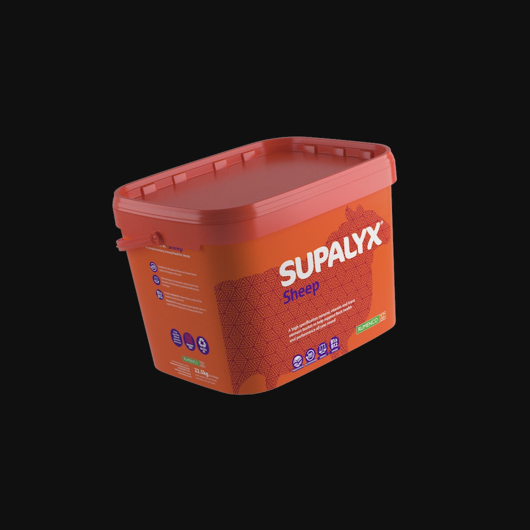 SUPAlyx Sheep Mineral Bucket
